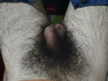 bomvemcam