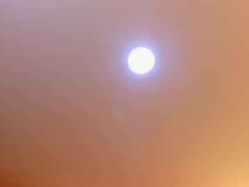 micheell_moon
