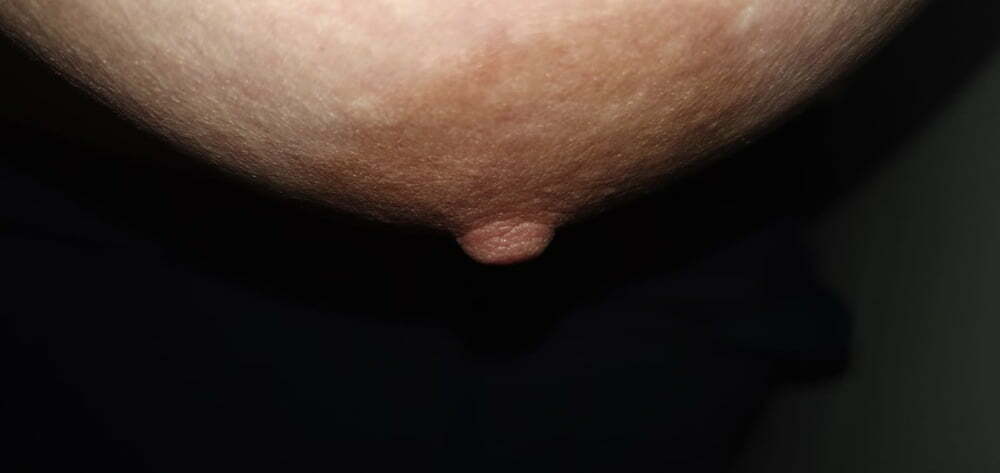 Amateur — 47