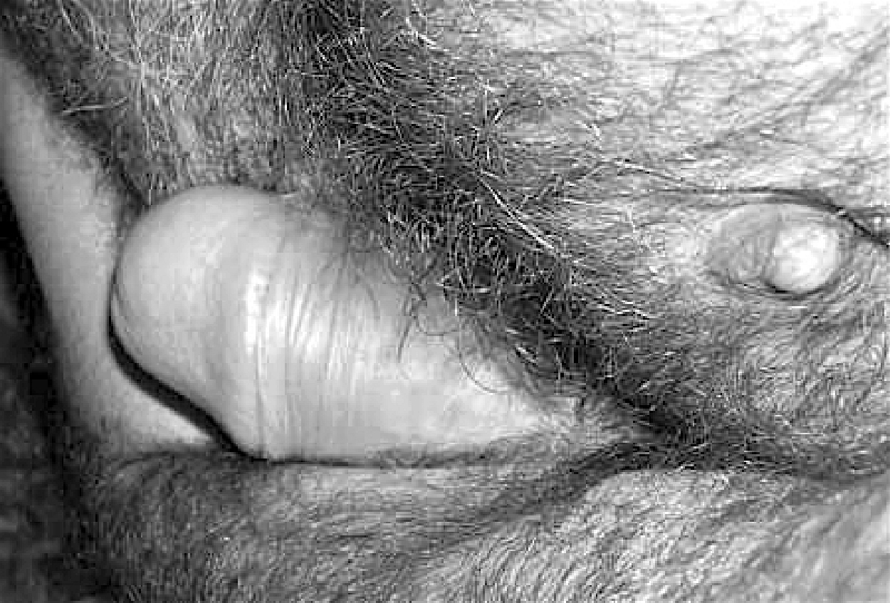 bears and very hairy men — 8