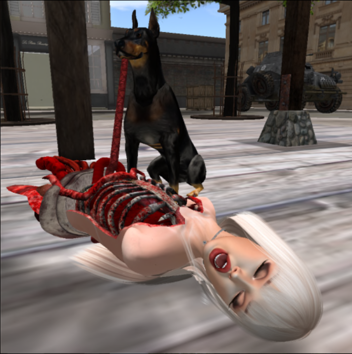 Second Life Game 2 — 14